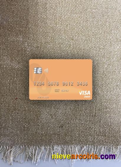 Pakistan Al Baraka Bank visa debit card photolook